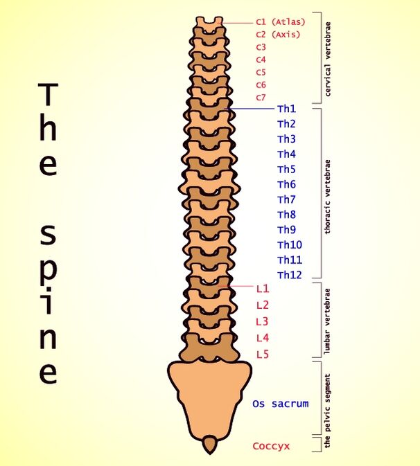 lumbar osteochondrosis
